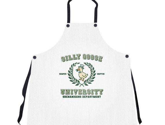 Silly Goose University