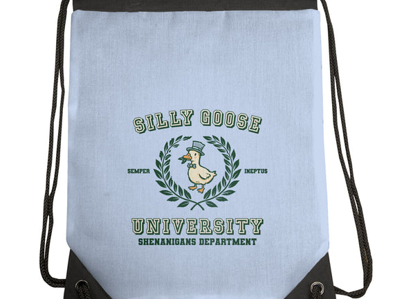 Silly Goose University
