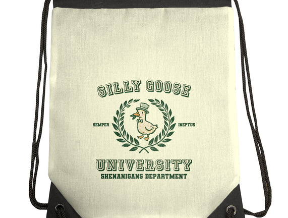 Silly Goose University
