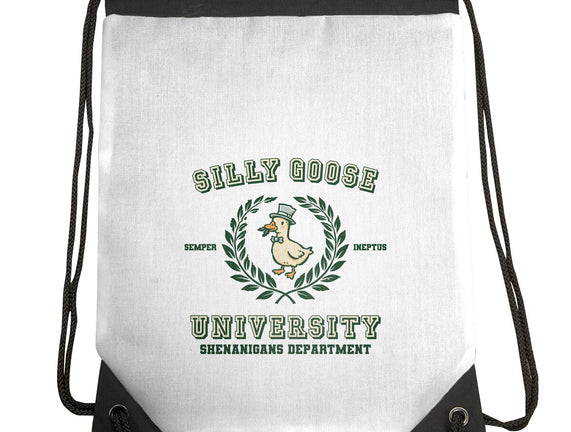 Silly Goose University