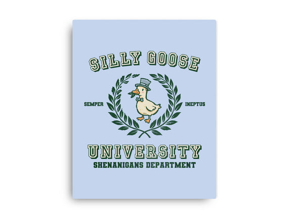 Silly Goose University