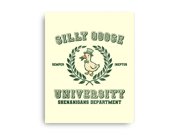 Silly Goose University