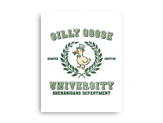 Silly Goose University