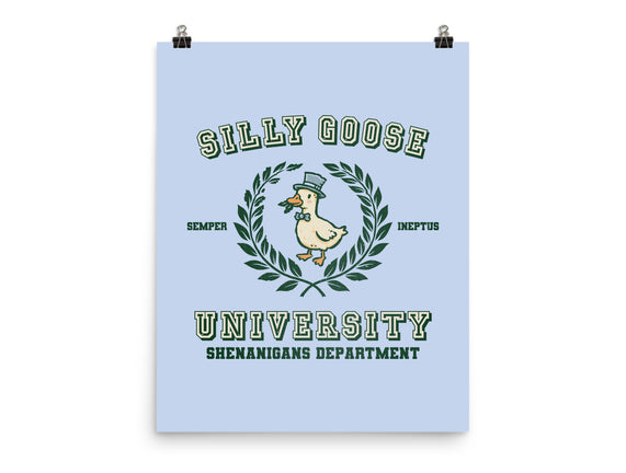 Silly Goose University