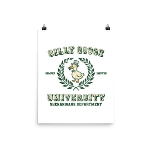 Silly Goose University