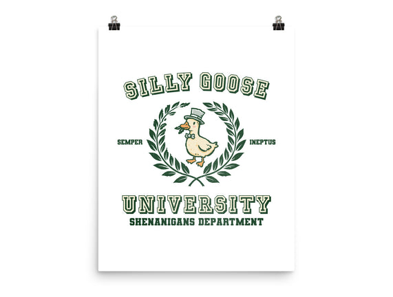 Silly Goose University