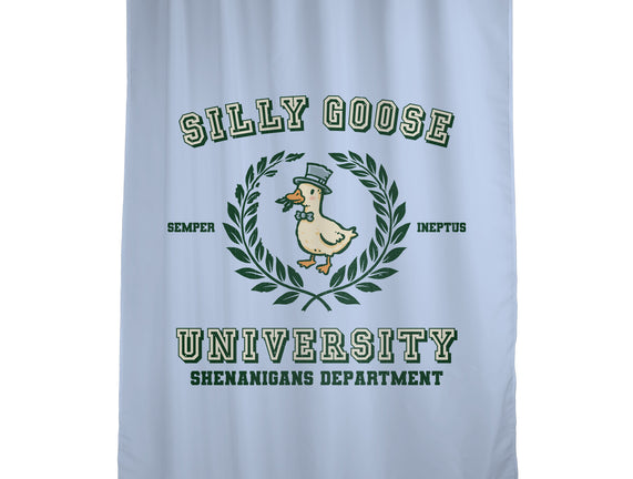 Silly Goose University