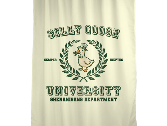 Silly Goose University