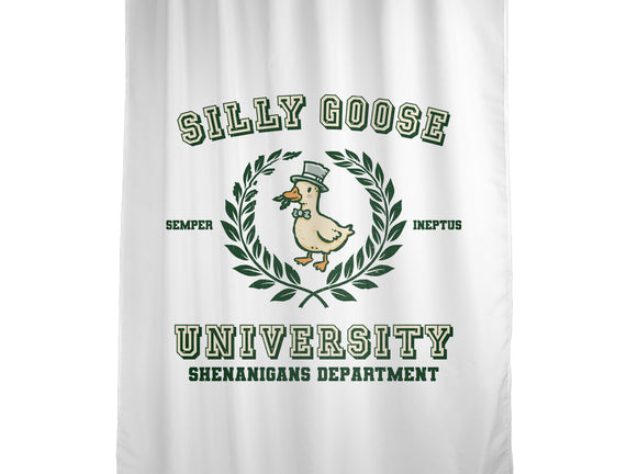 Silly Goose University