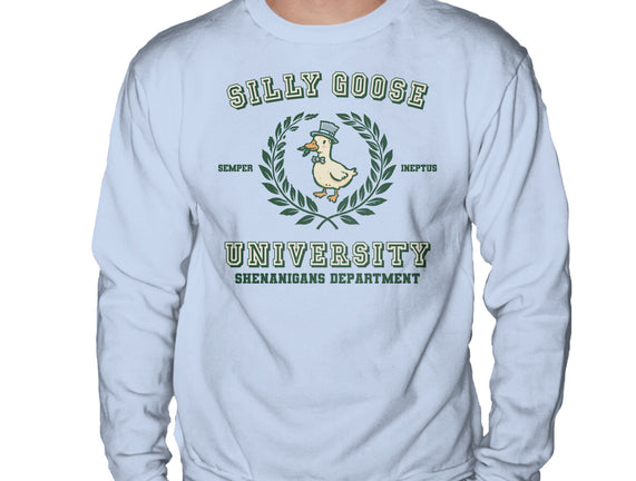 Silly Goose University