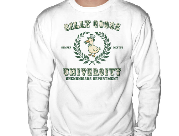 Silly Goose University