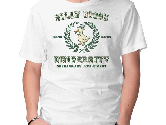 Silly Goose University