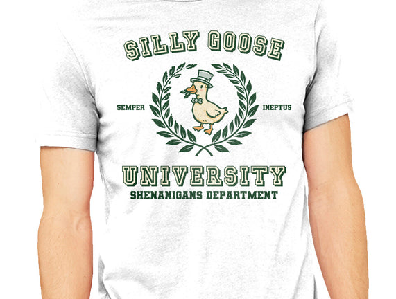 Silly Goose University