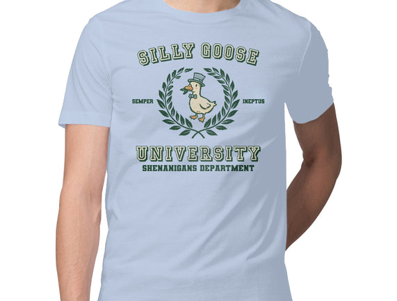 Silly Goose University