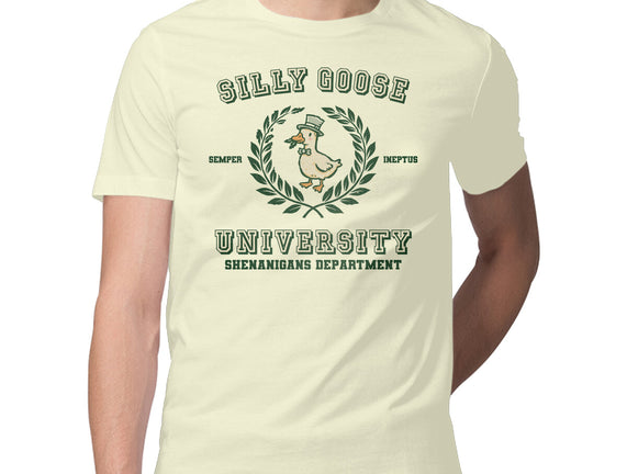 Silly Goose University