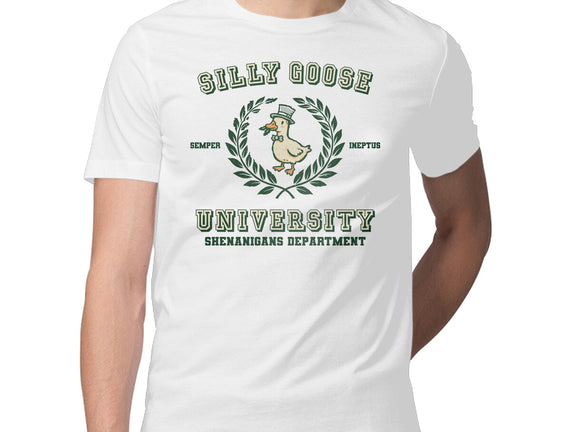 Silly Goose University