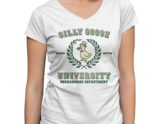 Silly Goose University
