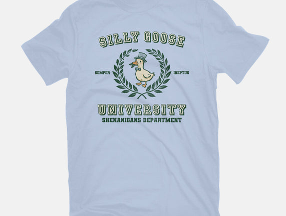Silly Goose University