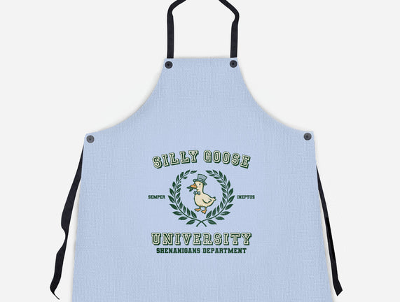 Silly Goose University