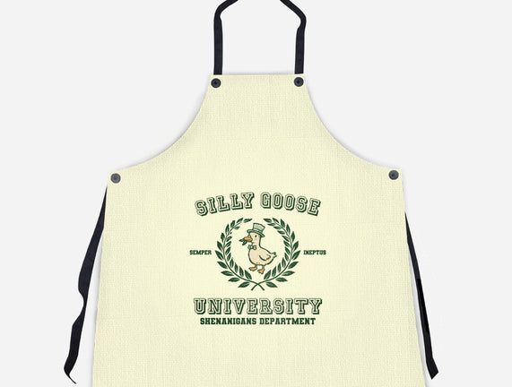Silly Goose University