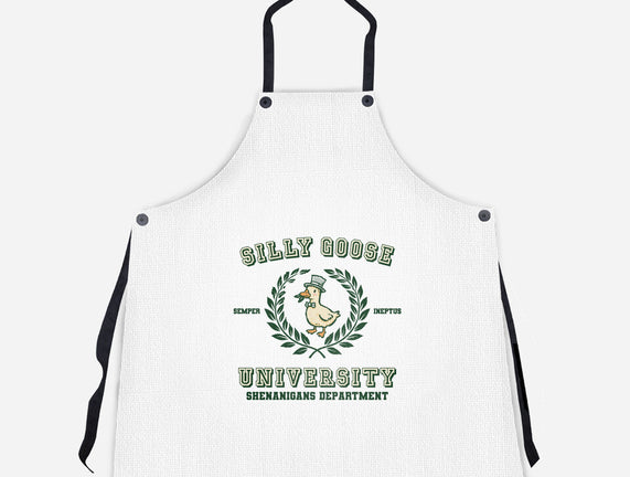 Silly Goose University