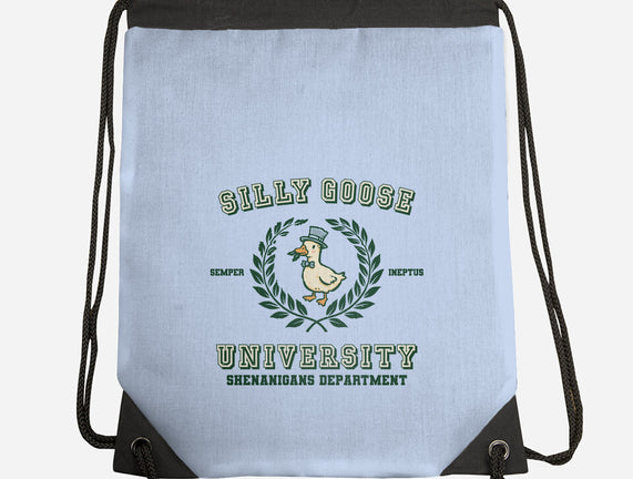 Silly Goose University