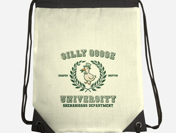 Silly Goose University
