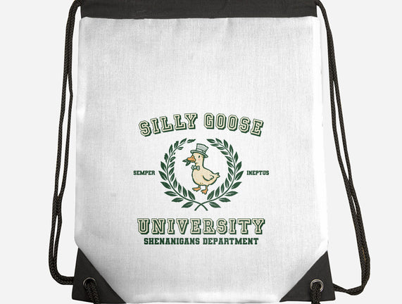 Silly Goose University