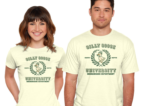 Silly Goose University