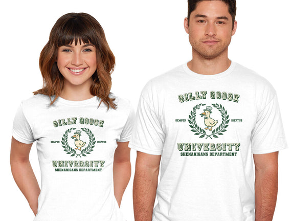 Silly Goose University
