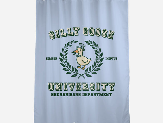 Silly Goose University