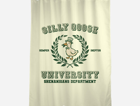 Silly Goose University