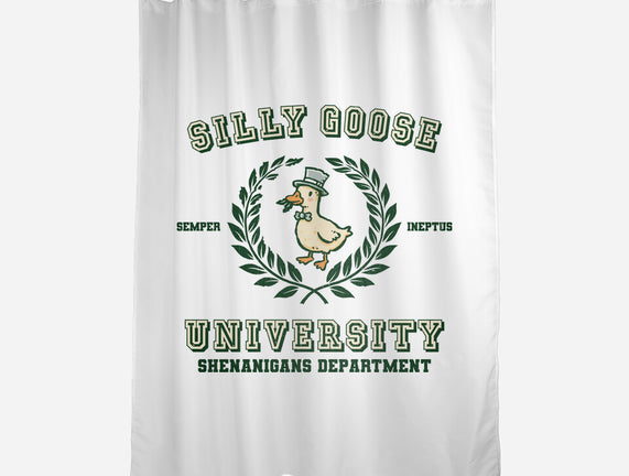 Silly Goose University
