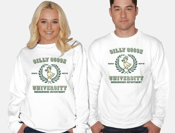 Silly Goose University