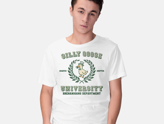 Silly Goose University
