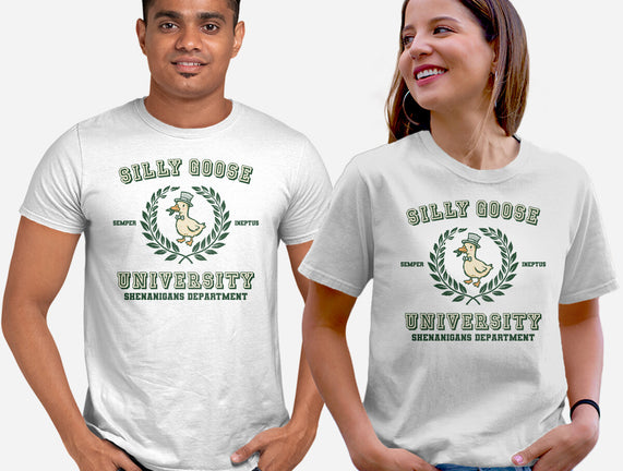 Silly Goose University