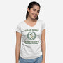 Silly Goose University-Womens-V-Neck-Tee-kg07