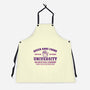 Queen Anne Chonk University-Unisex-Kitchen-Apron-kg07