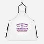 Queen Anne Chonk University-Unisex-Kitchen-Apron-kg07