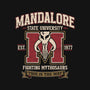 Mandalore University-None-Matte-Poster-Popnotic
