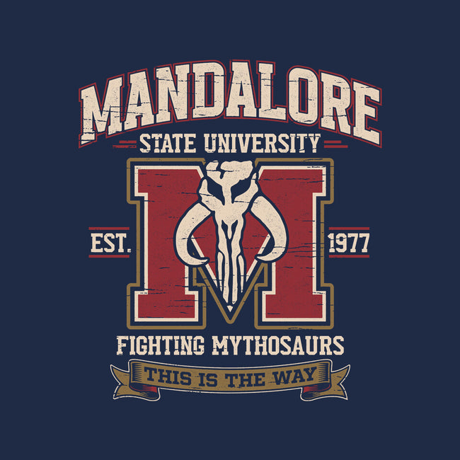 Mandalore University-Womens-V-Neck-Tee-Popnotic
