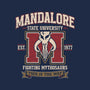 Mandalore University-Youth-Basic-Tee-Popnotic