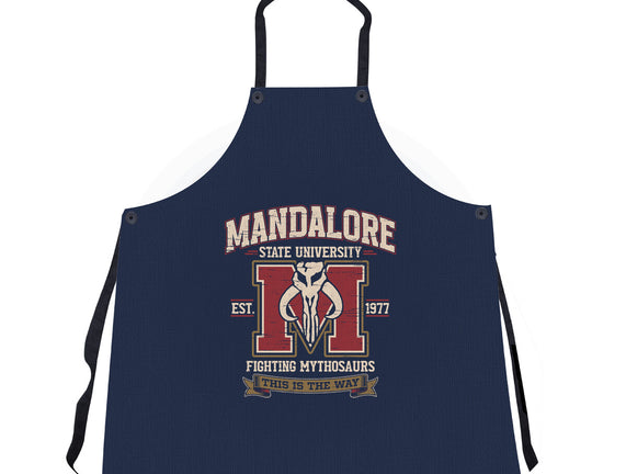 Mandalore University