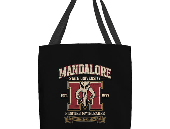 Mandalore University