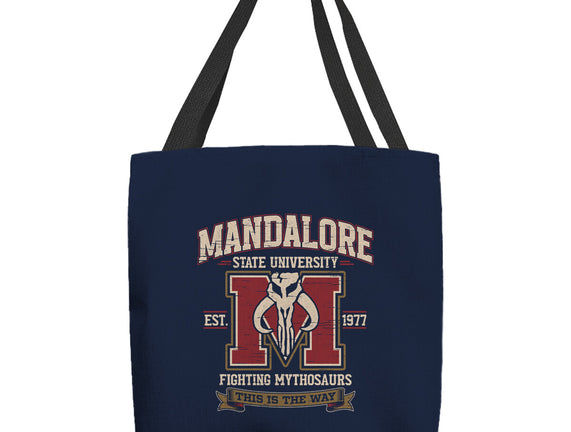 Mandalore University