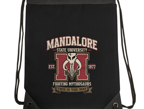 Mandalore University