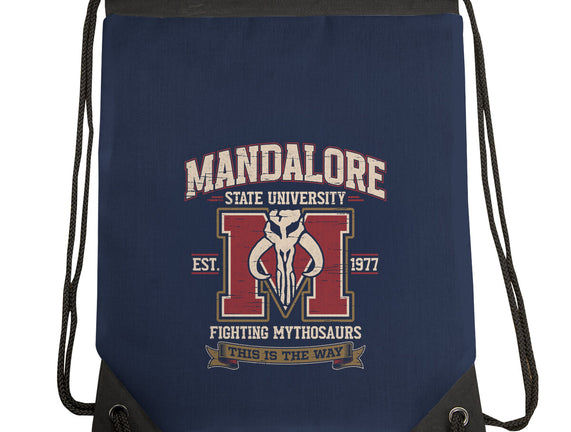 Mandalore University