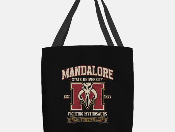 Mandalore University
