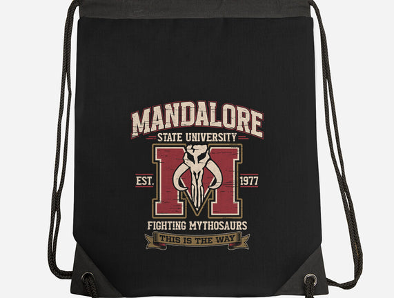 Mandalore University