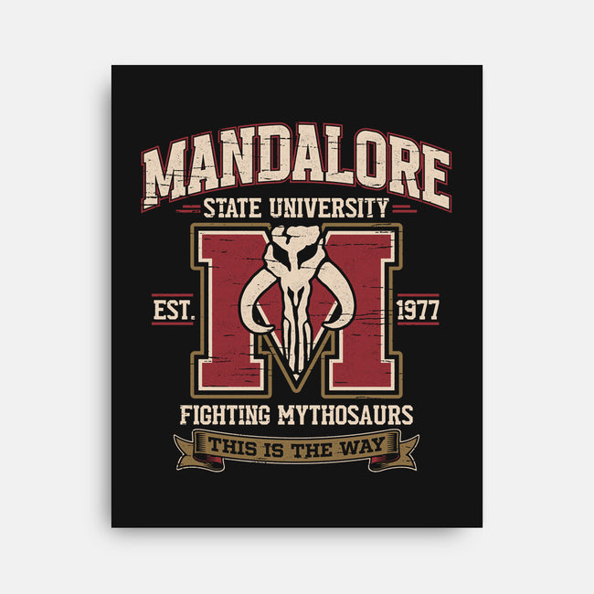 Mandalore University-None-Stretched-Canvas-Popnotic
